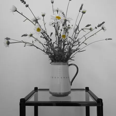 Alojamento de Acomodação e Pequeno-almoço Tobia Cave