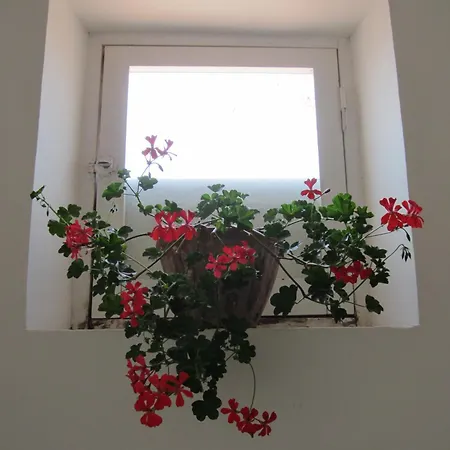 Tobia Alojamento de Acomodação e Pequeno-almoço