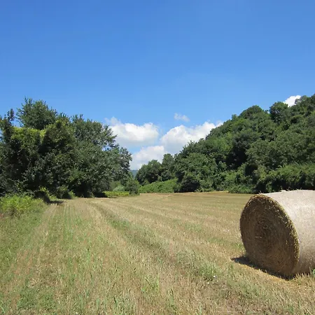 托比亚住宿加早餐旅馆 3* Cave