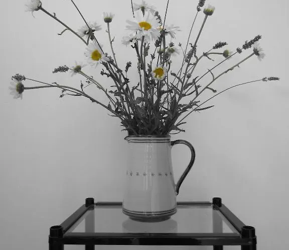 Bed & Breakfast Tobia Cave