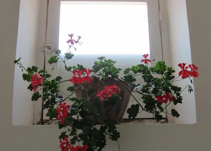 Tobia Bed & Breakfast